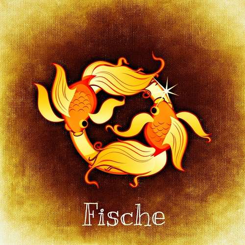 fish 759086 640 - Znaki zodiaku po niemiecku